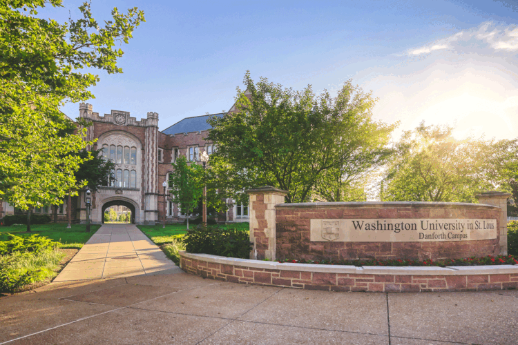 WashU launches campaign to address global challenges