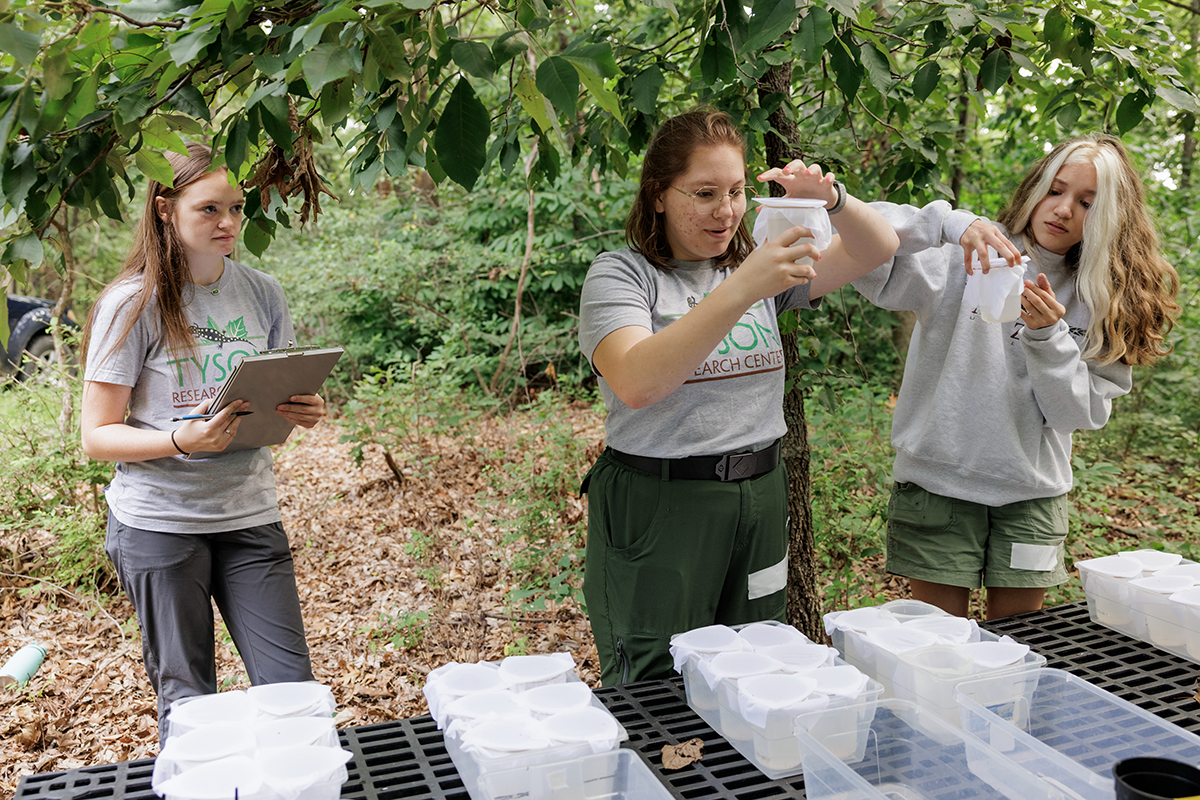 Environmental research