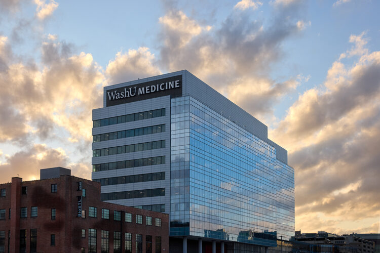 Levy appointed executive vice chancellor for medical affairs, dean of WashU Medicine